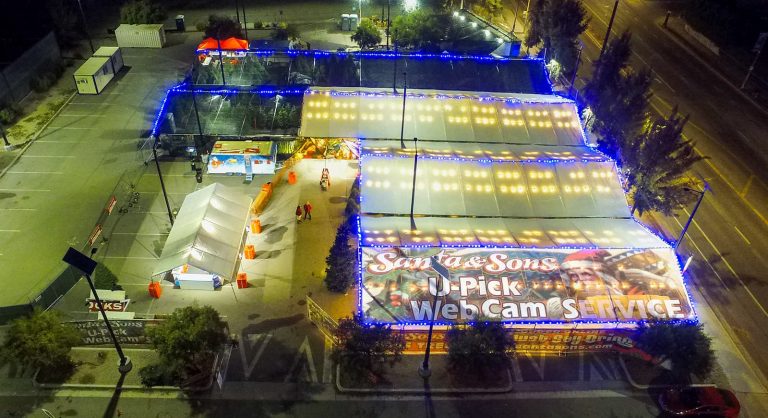 Santa & Sons Christmas Tree Lot in Los Angeles, CA